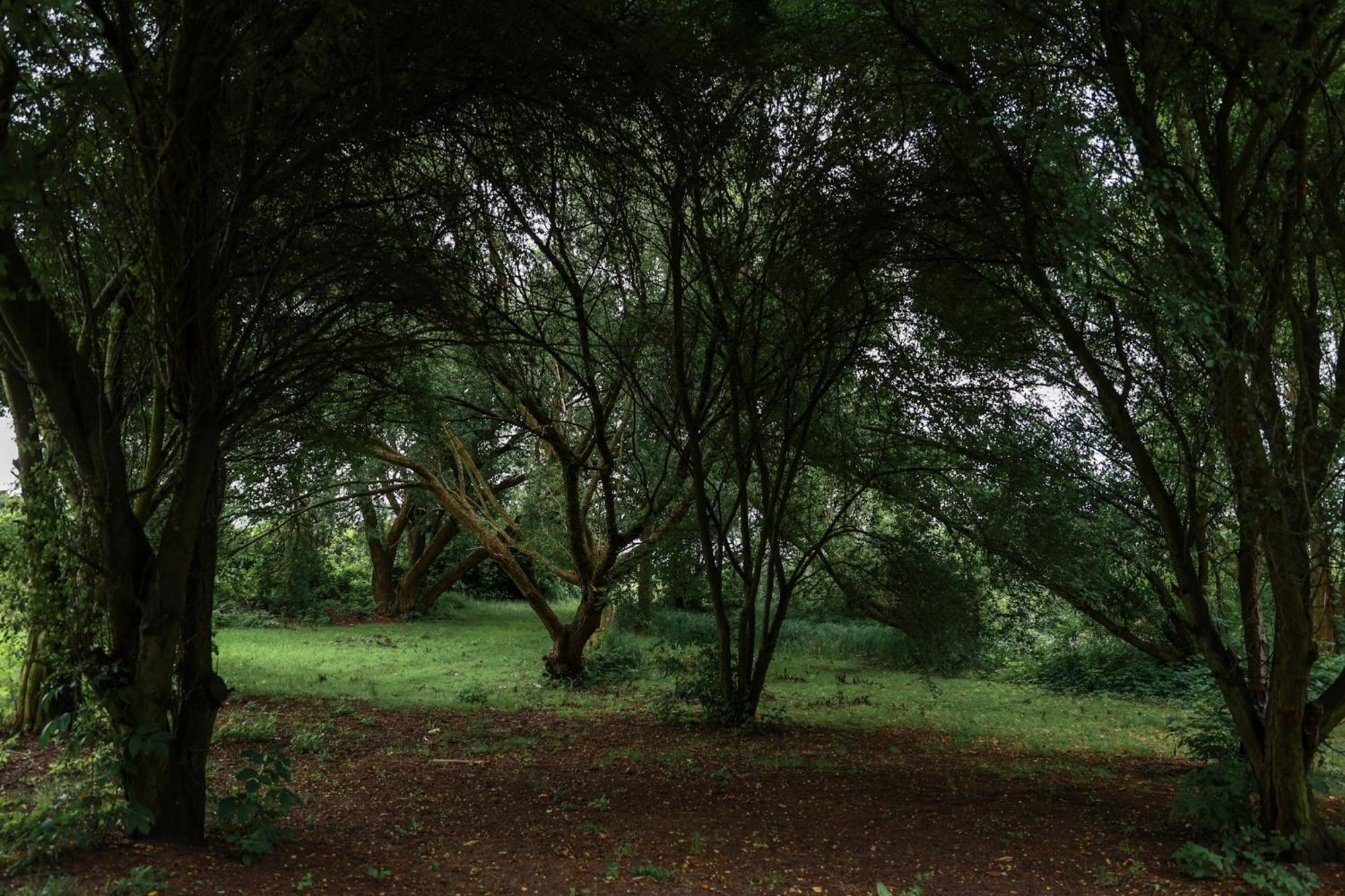 Jej I Jego - Eleganckie Domki Z Balia Na Wylacznosc Niewiesze Екстер'єр фото